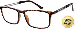 READERS BL166 BROWN +0.00